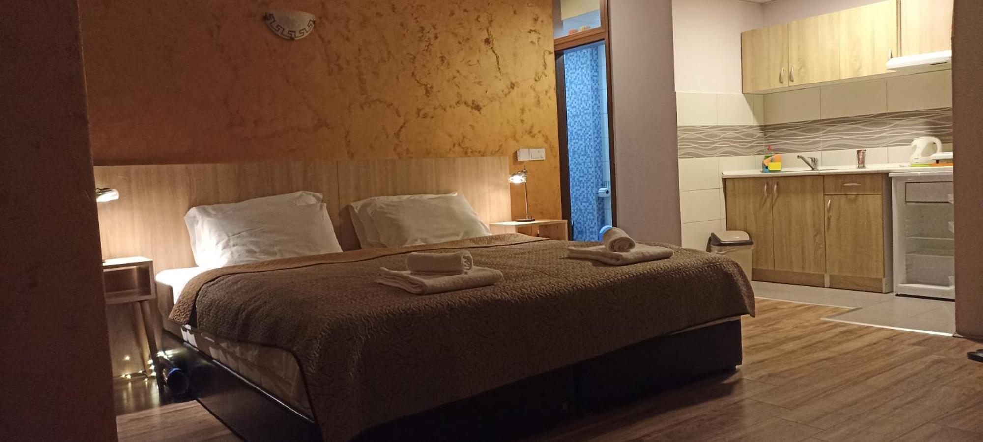 Athos Apartments Ni 部屋 写真